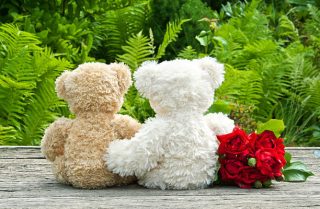 Elora Gifting Medium Size Teddy Bear